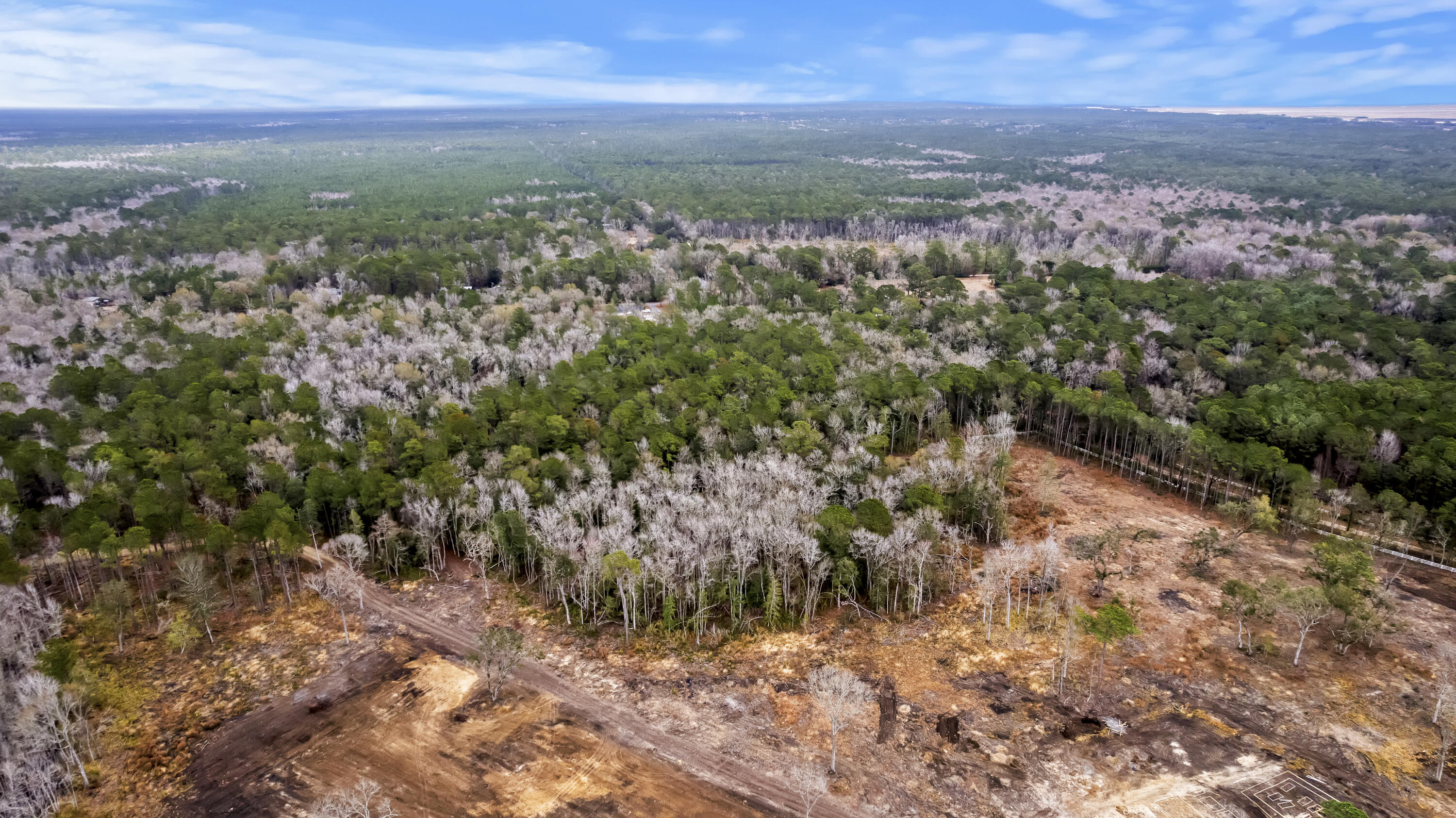 8874 Old Georgetown Road McClellanville, SC 29458 - Photo 16 of 19 DJI_0472