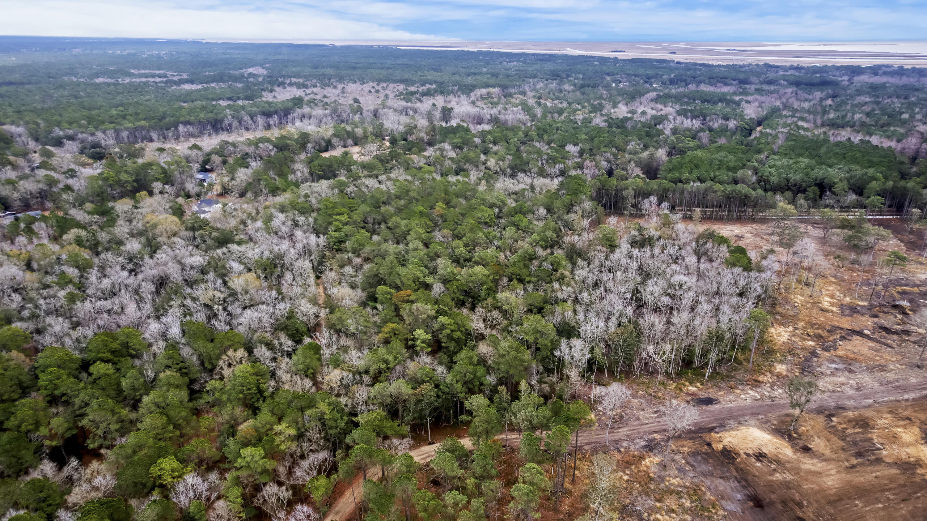 8874 Old Georgetown Road McClellanville, SC 29458 - Photo 18 of 19 DJI_0478