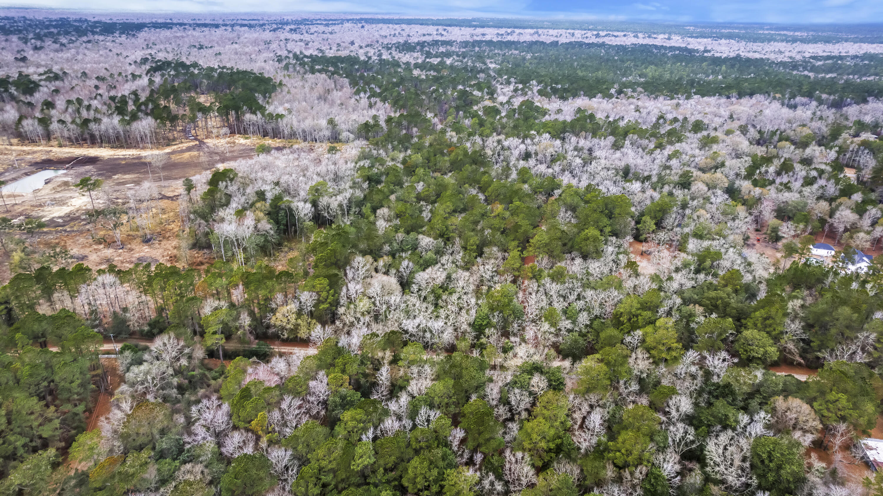 8874 Old Georgetown Road McClellanville, SC 29458 - Photo 19 of 19 DJI_0481