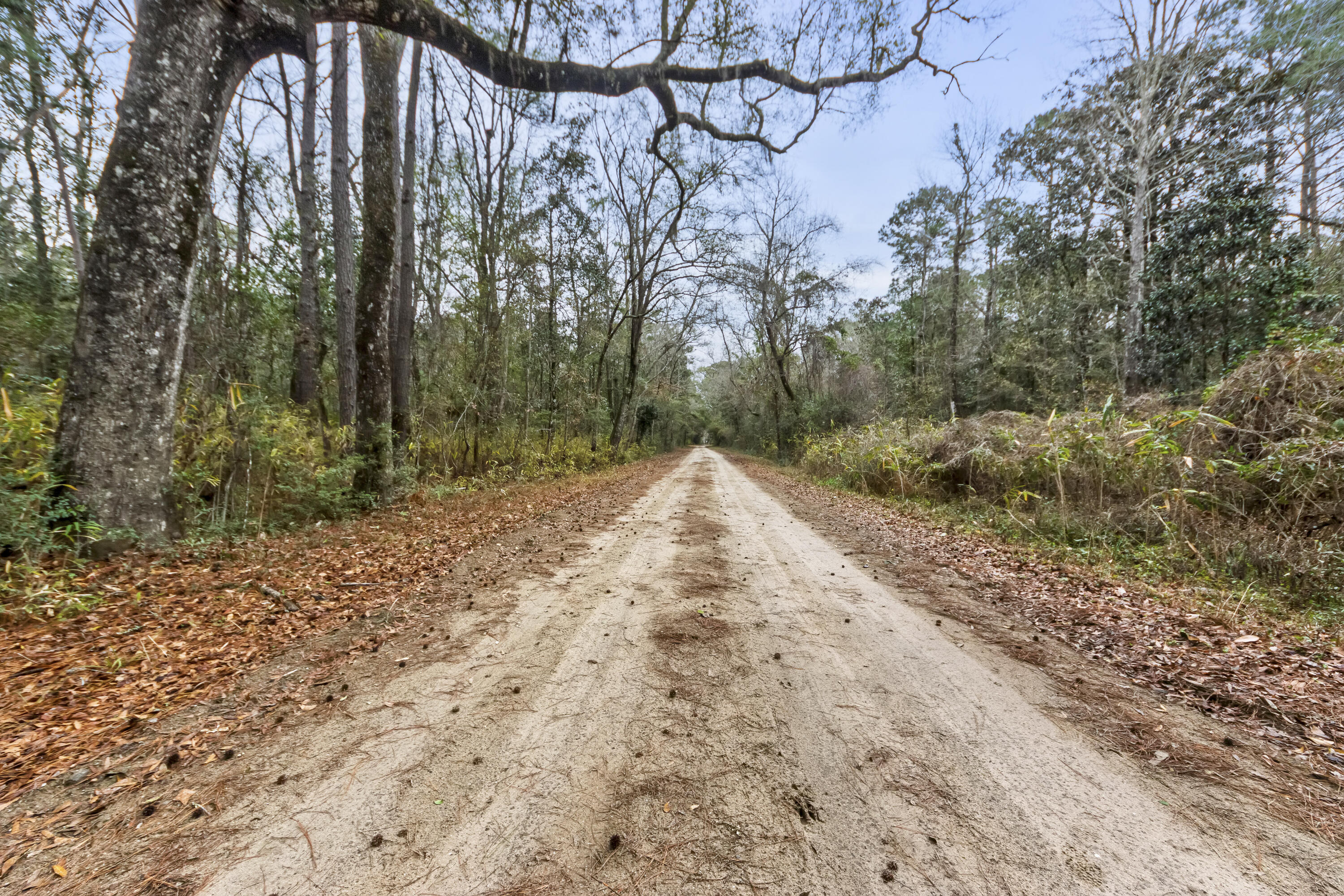 8874 Old Georgetown Road McClellanville, SC 29458 - Photo 4 of 19 _01A5115