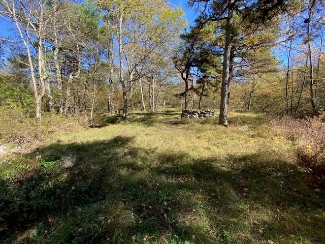 a view of a yard covered in snow