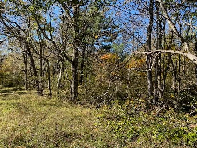 a view of field with large trees