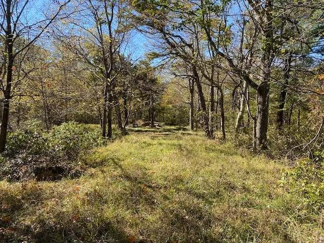 a view of outdoor space with trees