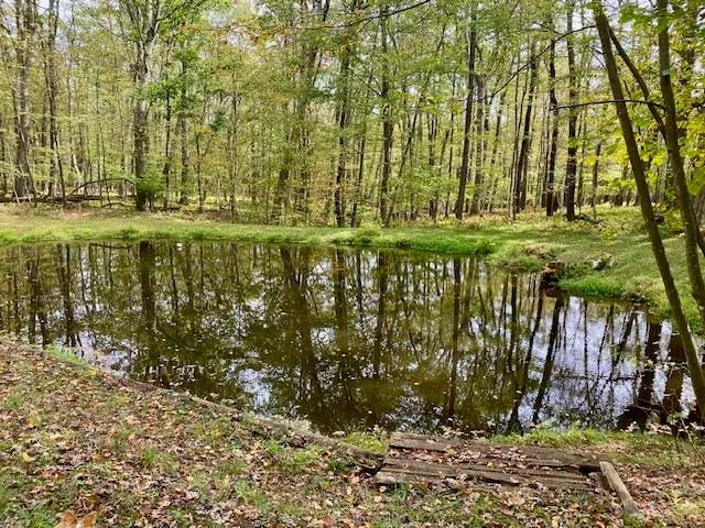 a view of swimming pool and trees