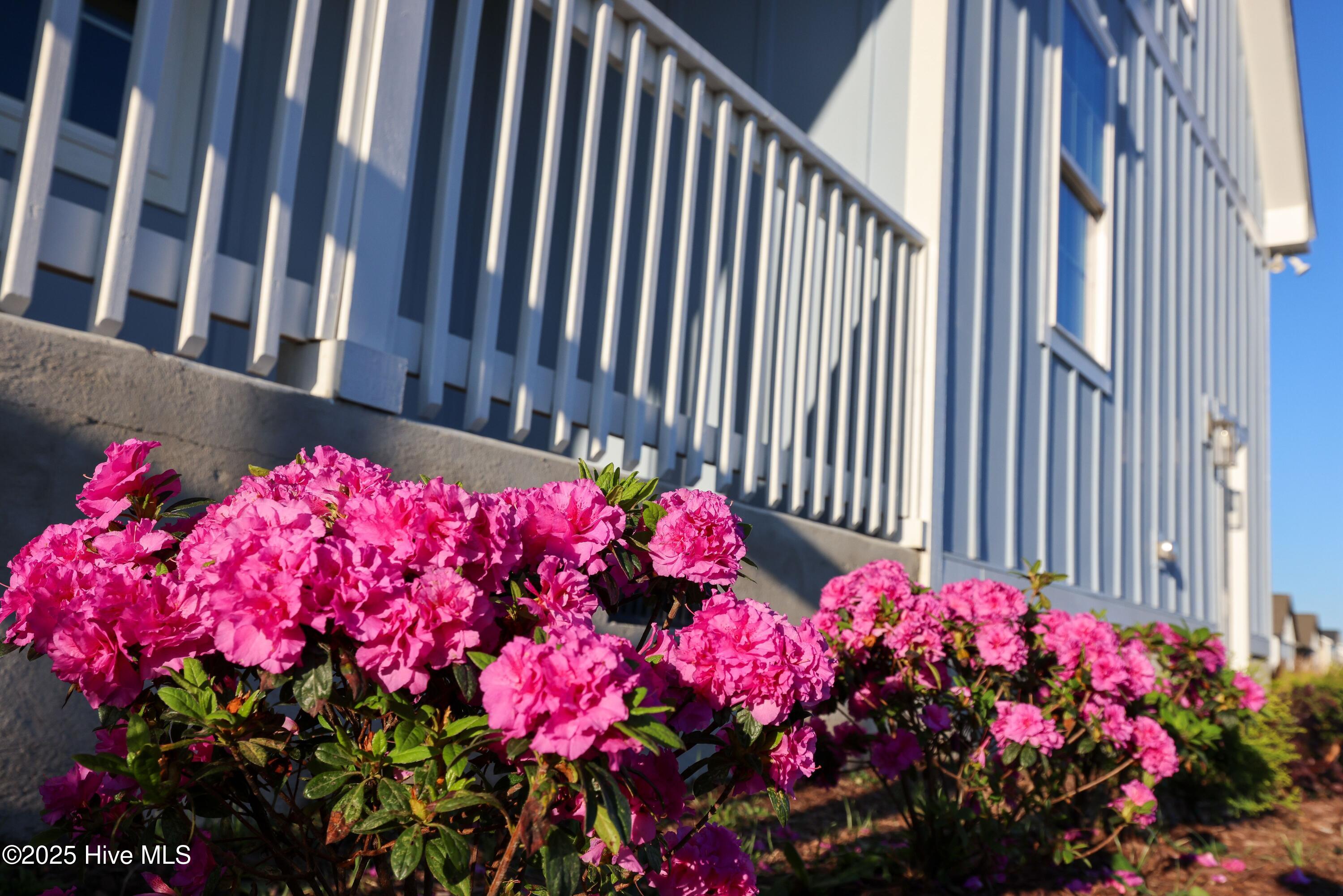 5183 Finch Road Sims, NC 27880 - Photo 7 of 62 bJIlTL3k