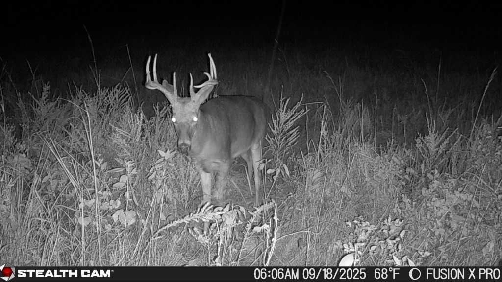 2715 Kelly Road Blue Mound, KS 66010 - Photo 41 of 53