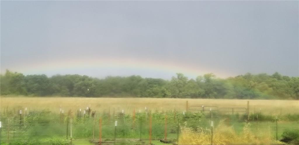 2715 Kelly Road Blue Mound, KS 66010 - Photo 43 of 53