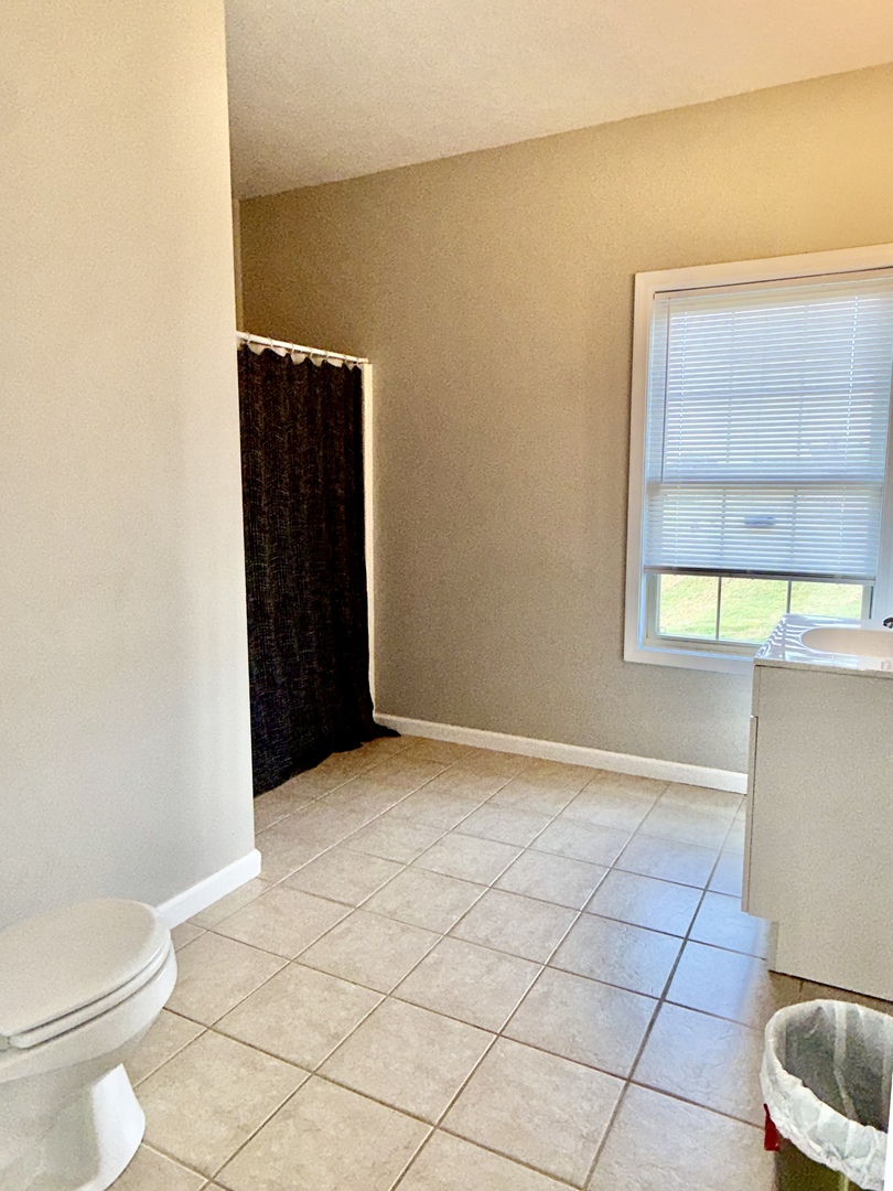 5488 Tick Ridge Road Grand Chain, IL 62941 - Photo 22 of 38 Gallery Image 22
