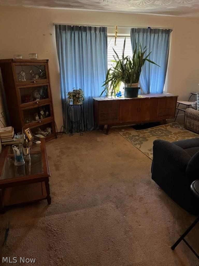 457 Spaulding Street Akron, OH 44310 - Photo 5 of 10 View of carpeted living room