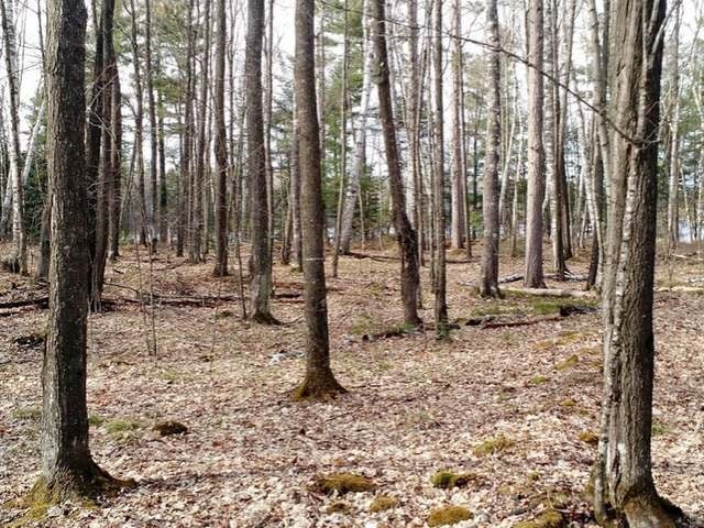 On Harmony Lake Road Eagle River, WI 54521 - Photo 17 of 21 Gallery Image 17