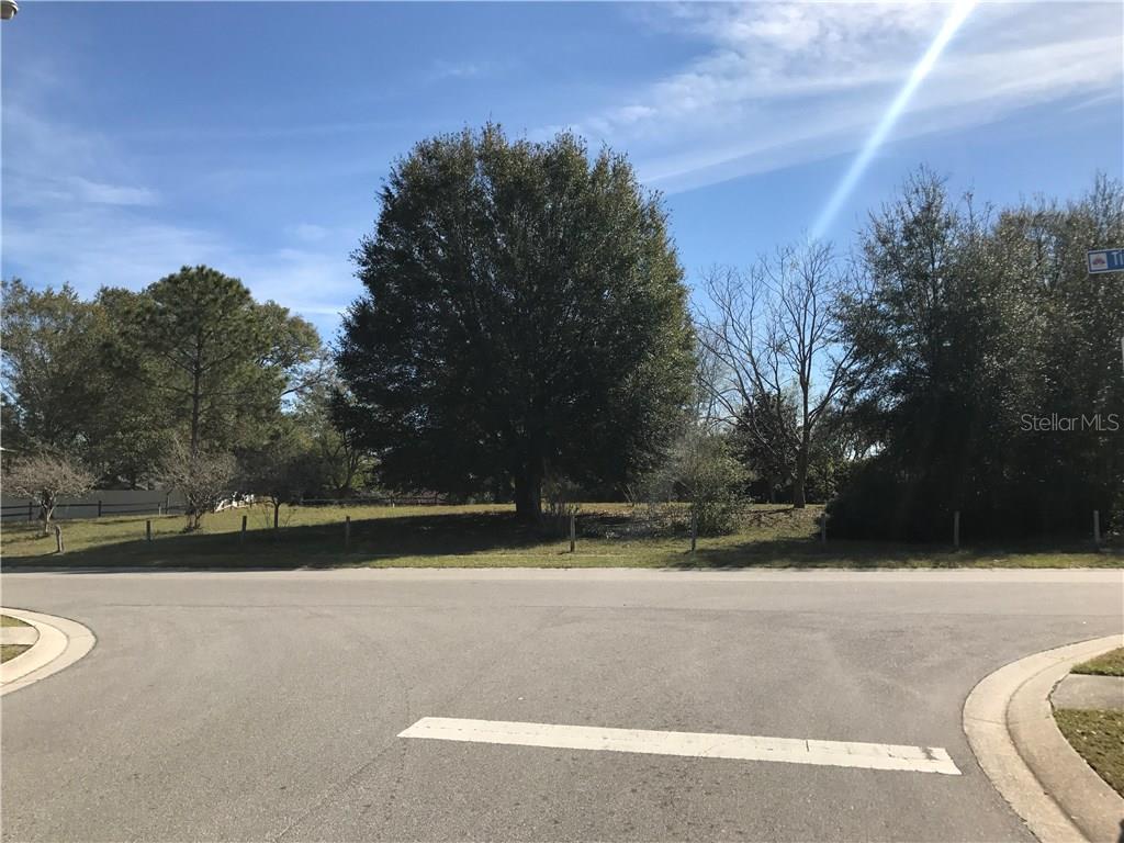 1 Timber Ridge Trail Ocoee, FL 34761 - Photo 1 of 1 Gallery Image 1