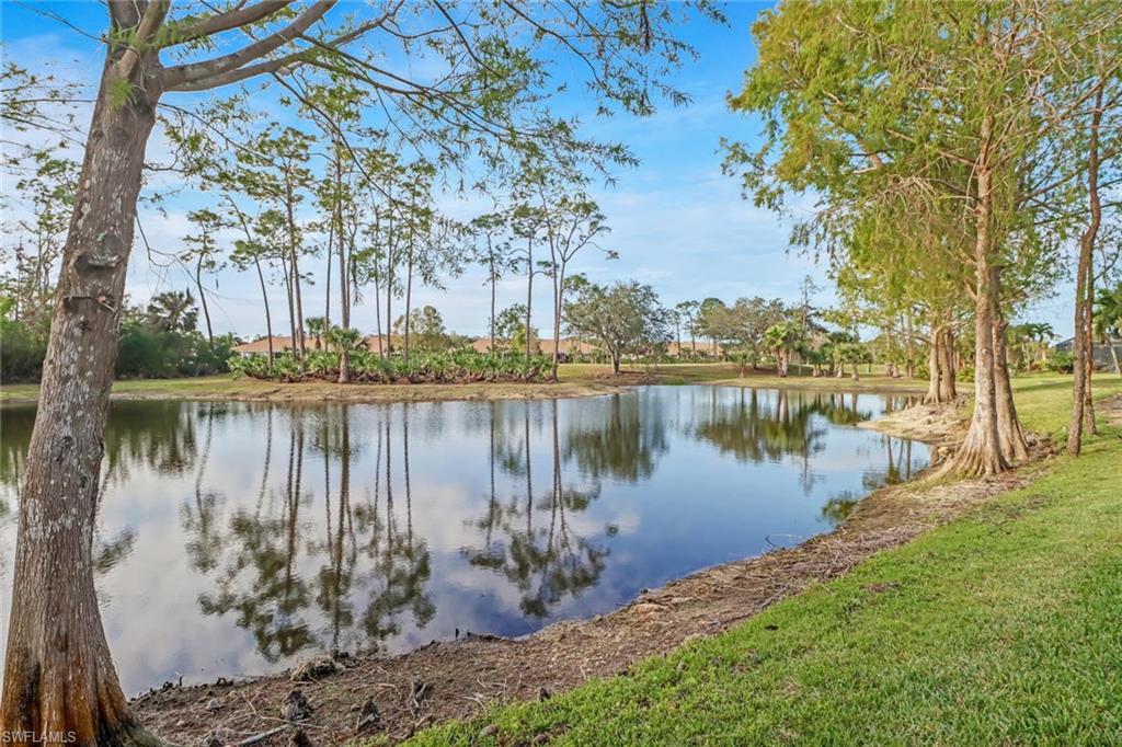 21156 Braxfield Loop Estero, FL 33928 - Photo 26 of 43 a body of water with a tree in the background