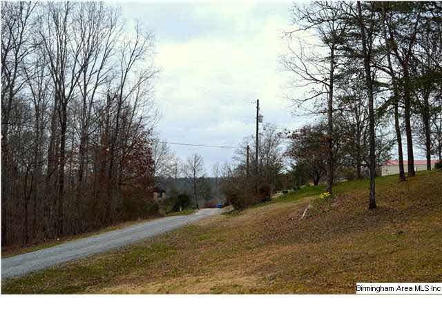 228 Dorr Road Oneonta, AL 35121 - Photo 20 of 22