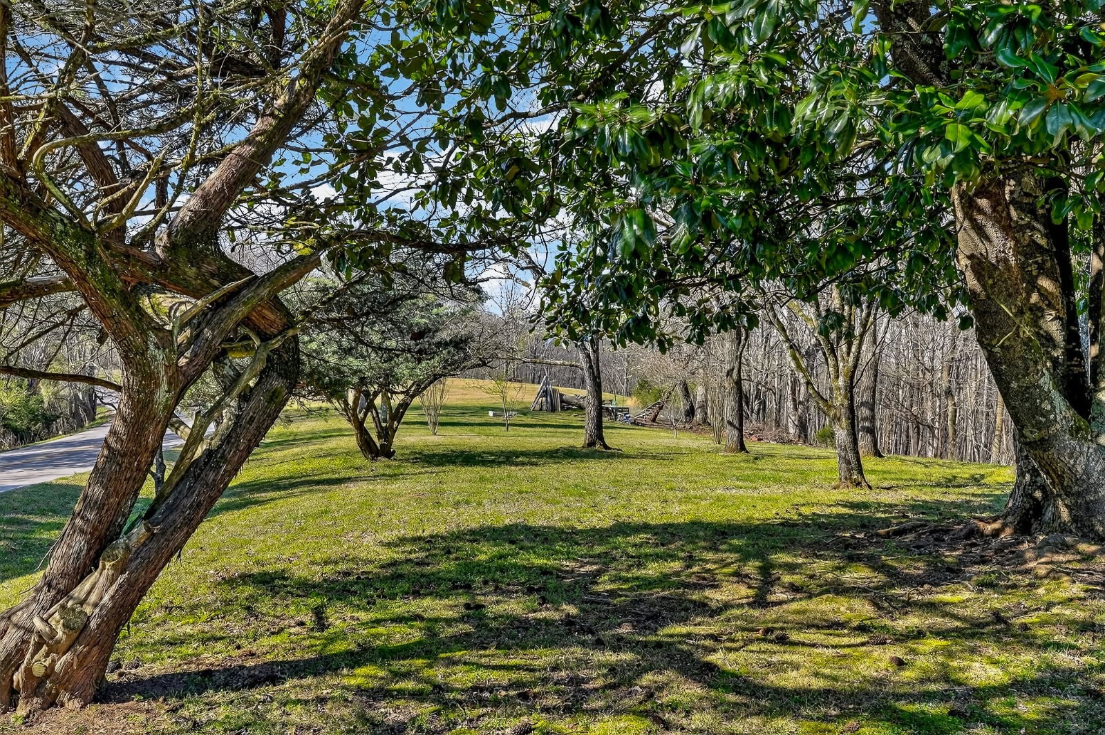 6817 Dale Ridge Road Lancaster, TN 38569 - Photo 38 of 47