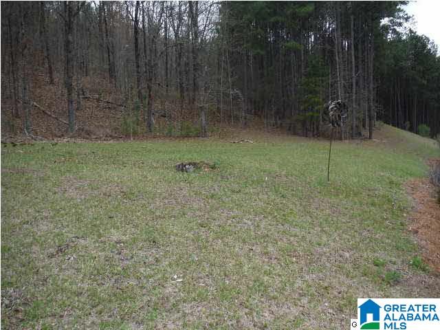 1356 Caliston Way Pelham, AL 35124 - Photo 27 of 32
