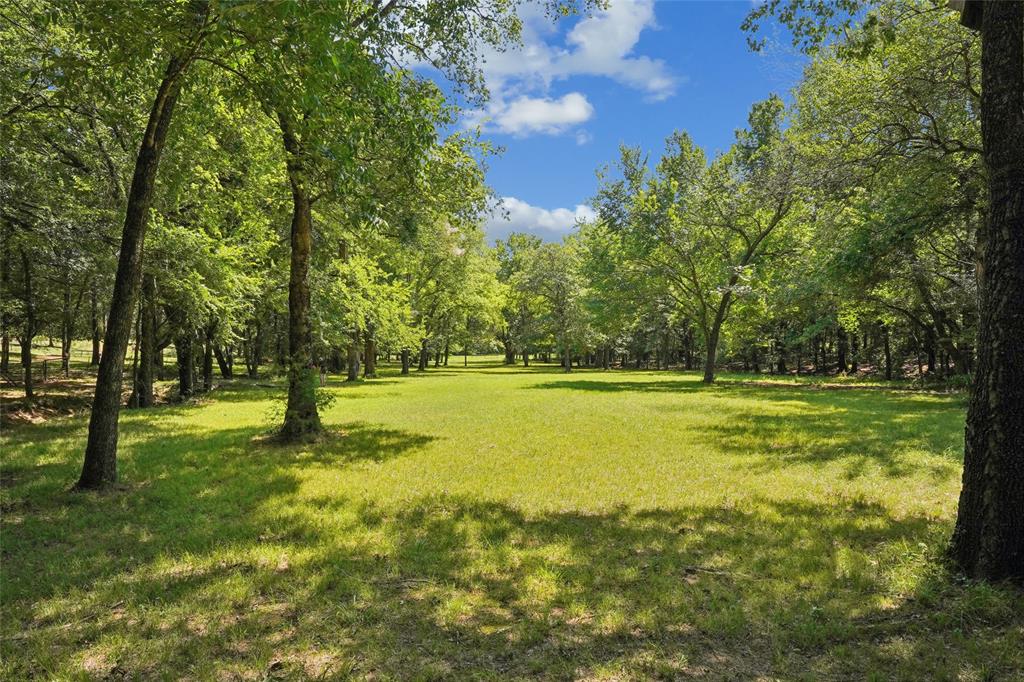 1433 Old Sadler Road Sadler, TX 76264 - Photo 6 of 40