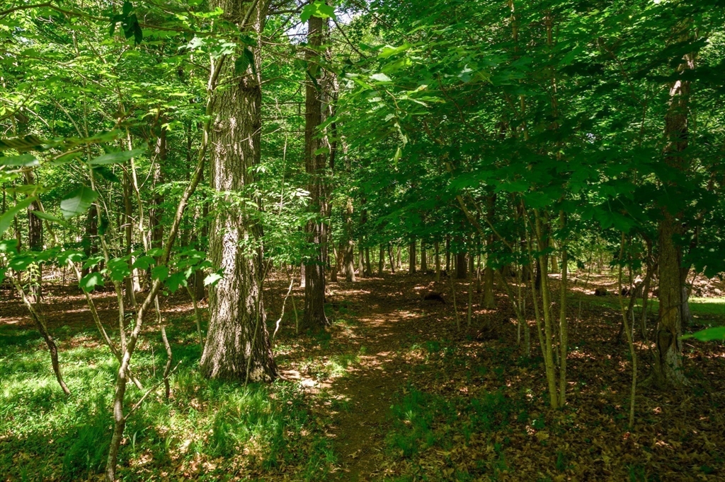 30 Huntley Road Hingham, MA 02043 - Photo 26 of 28 a view of yard