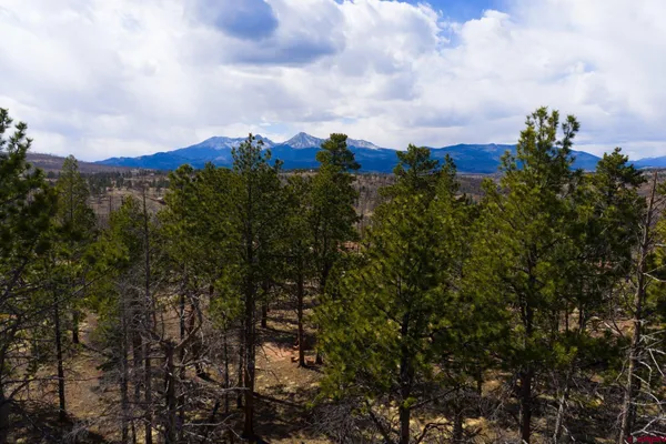 $12,000 | 758 Marriott Circle, Fort Garland, CO 81133