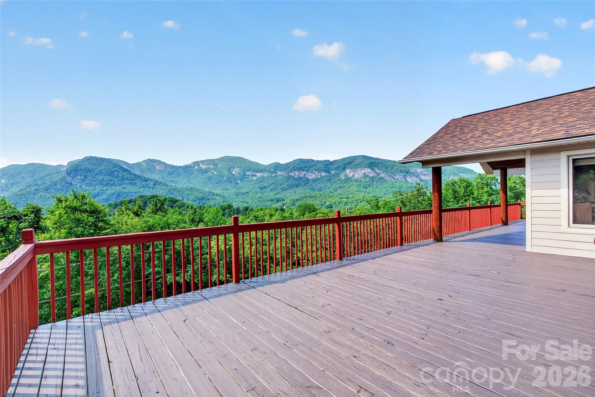 227 Sidney Lanier Road Lake Lure, NC 28746 - Photo 3 of 48