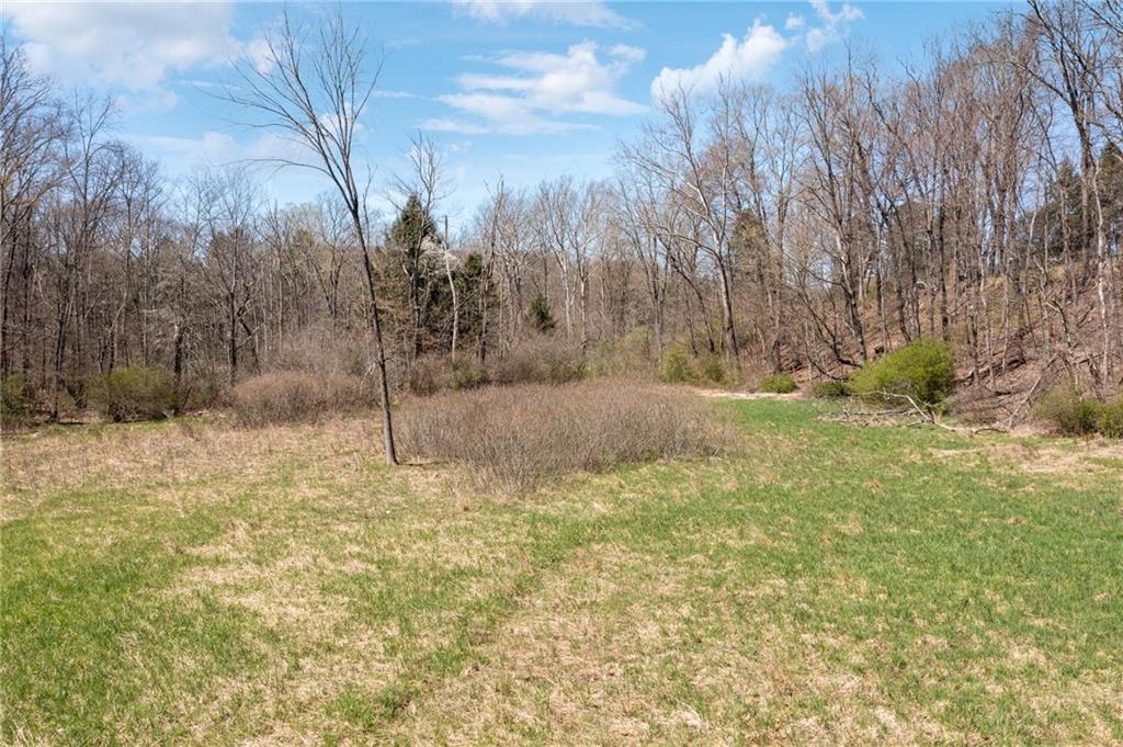 1593 Jacob Miller Road Rector, PA 15677 - Photo 39 of 49 Gallery Image 39