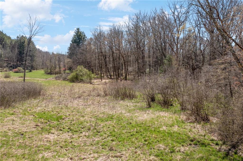 1593 Jacob Miller Road Rector, PA 15677 - Photo 40 of 49 Gallery Image 40