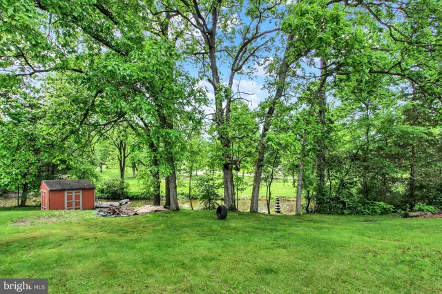 a view of a backyard with large trees
