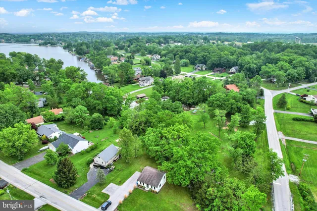 a view of a garden with plants