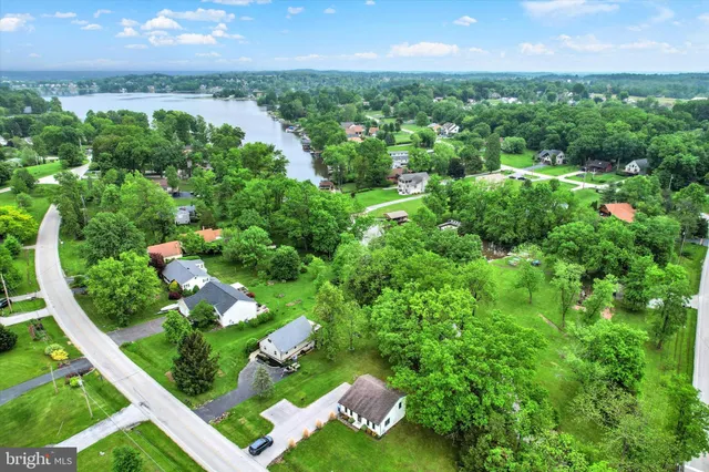 a view of a yard with plants