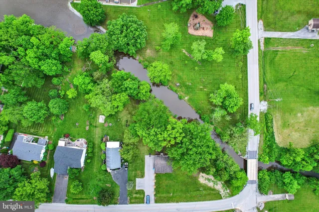 a small pool with couple of trees