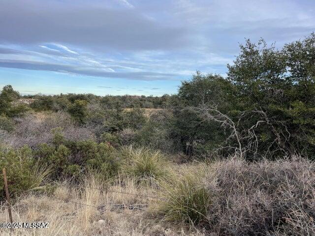0 North Robles Road Oracle, AZ 85623 - Photo 3 of 6