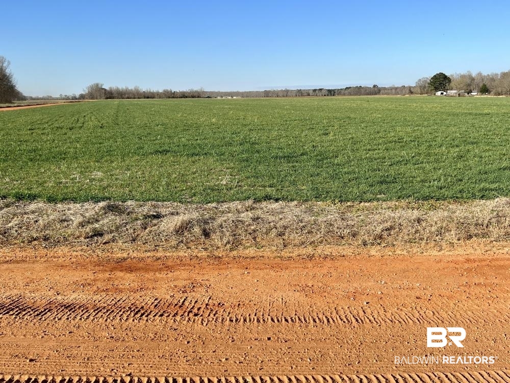 0 Byrd Road Atmore, AL 36502 - Photo 19 of 27 Gallery Image 19