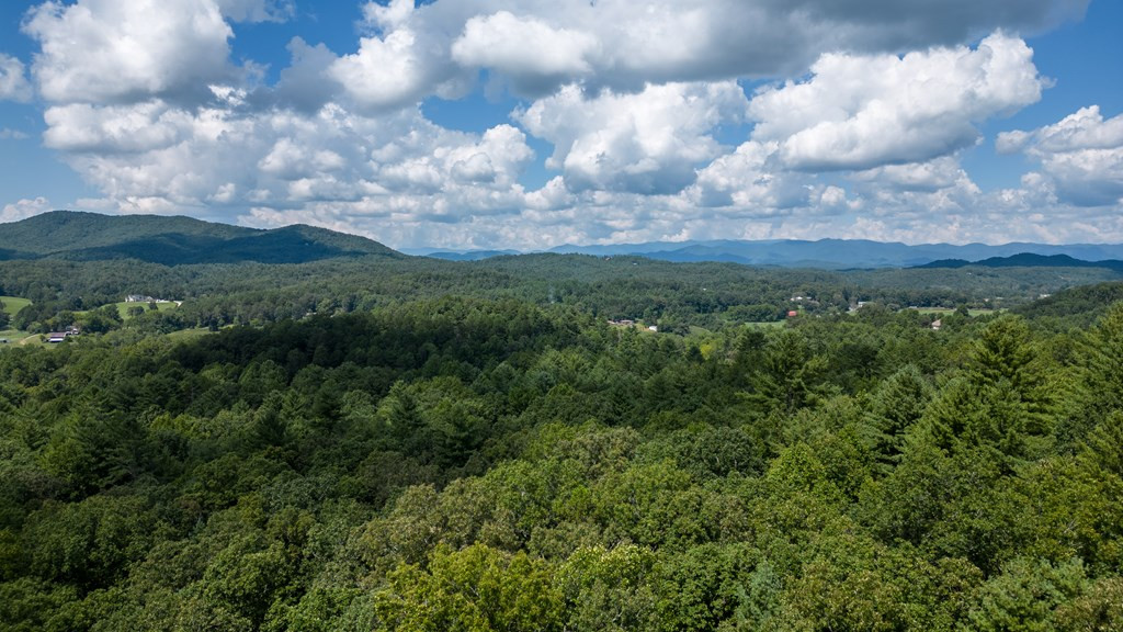 Tbd Waldroup Road Hayesville, NC 28904 - Photo 8 of 16 Gallery Image 8