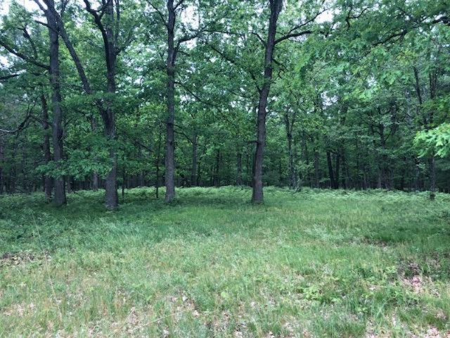 6659 Usfs Road Irons, MI 49644 - Photo 22 of 24