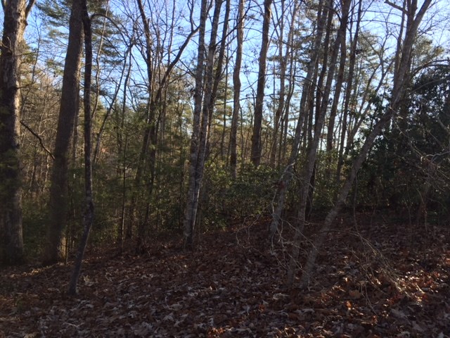 Lot 94 Inland Trail Salem, SC 29676 - Photo 2 of 8 Gallery Image 2