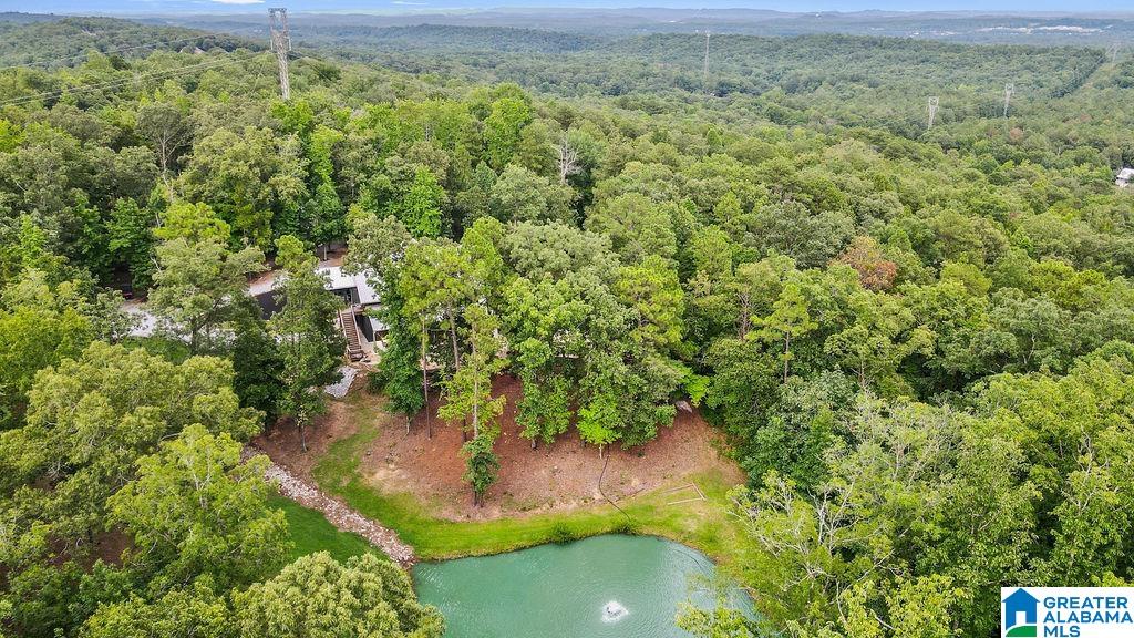 2249 Highway 93 Helena, AL 35080 - Photo 8 of 79