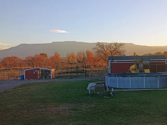 a view of a garden with an outdoor space