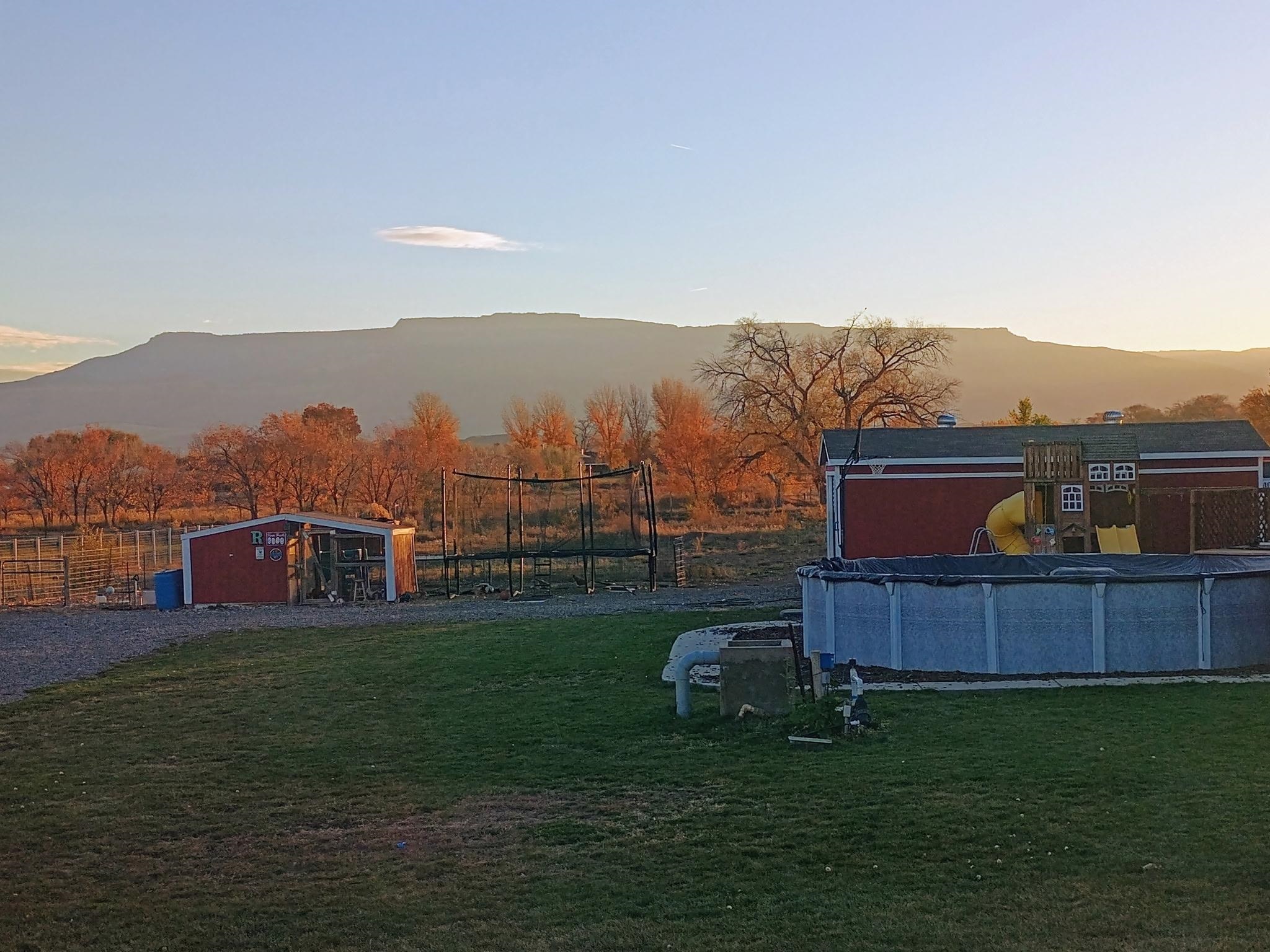 176-29 1/2 A 1/2 Road Grand Junction, CO 81503 - Photo 41 of 41 a view of a garden with an outdoor space