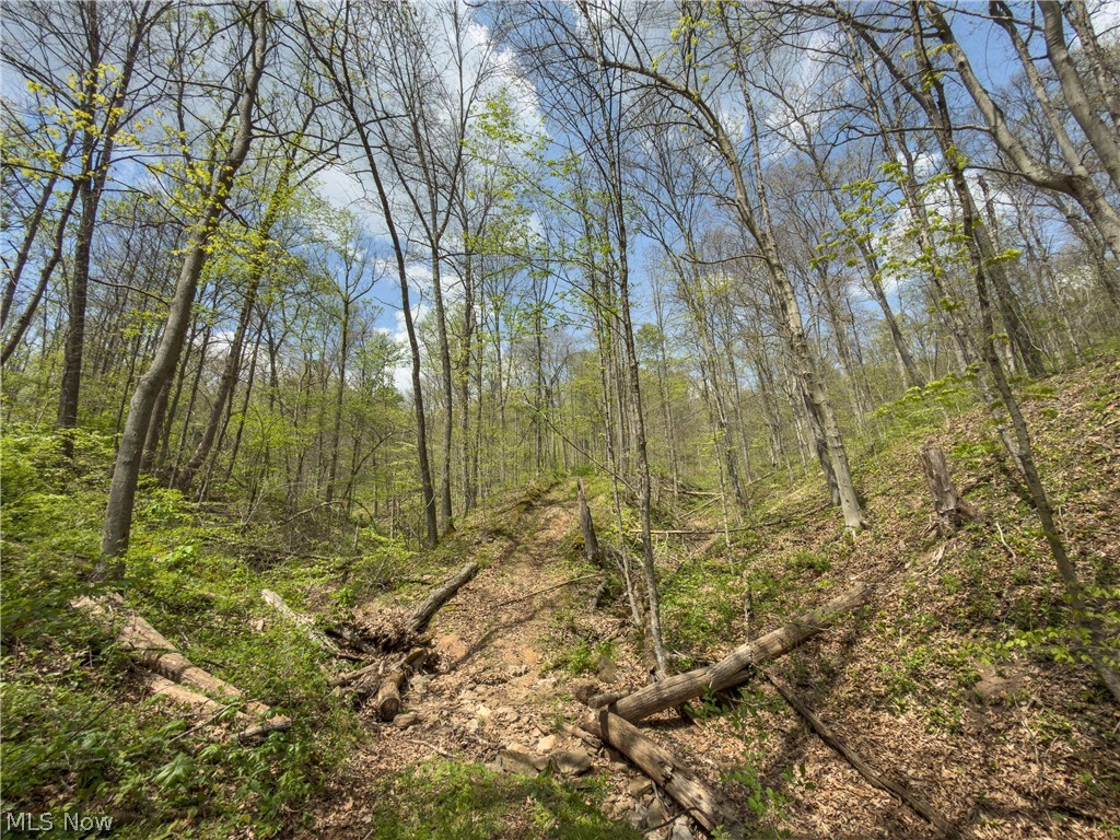 Beardmore Road Wingett Run, OH 45789 - Photo 26 of 43