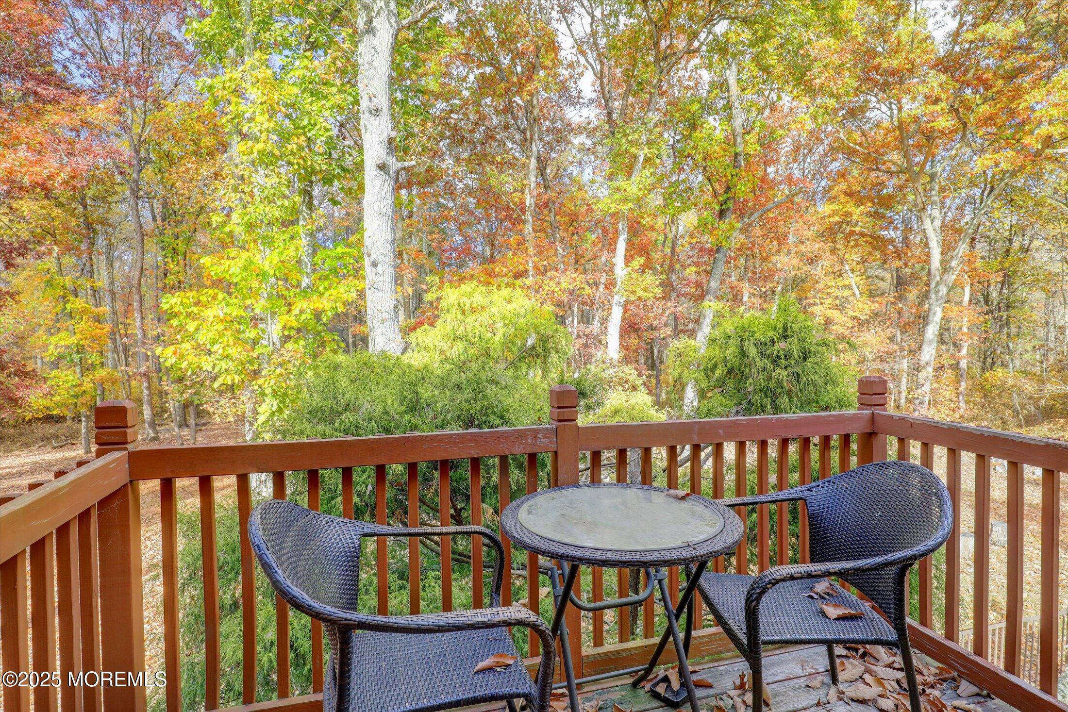 9 Rutherford Court Jackson, NJ 08527 - Photo 28 of 47 28-Primary Balcony