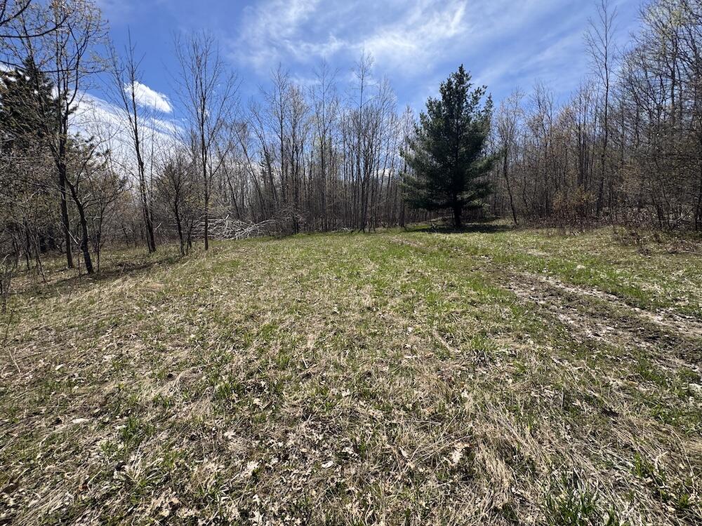 Vl Curtisville Road Mio, MI 48647 - Photo 41 of 141 IMG_2264