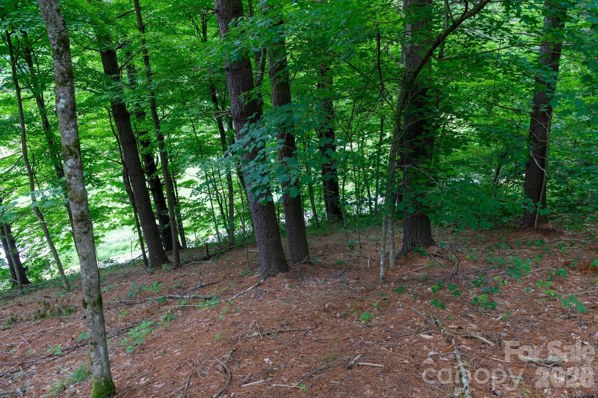 Tbd Tbd Sycamore Road Vilas, NC 28692 - Photo 27 of 38