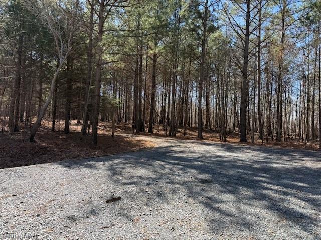 0 Thayer Road Troy, NC 27371 - Photo 5 of 5