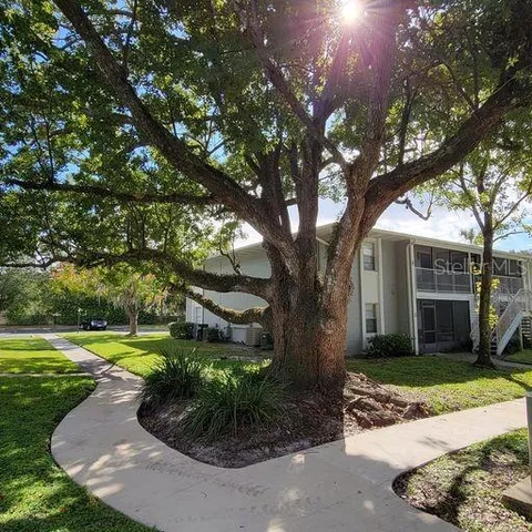 a view of a garden with a tree