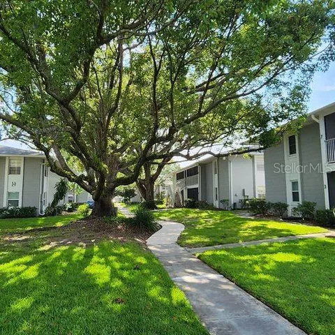 a view of a backyard with a large tree