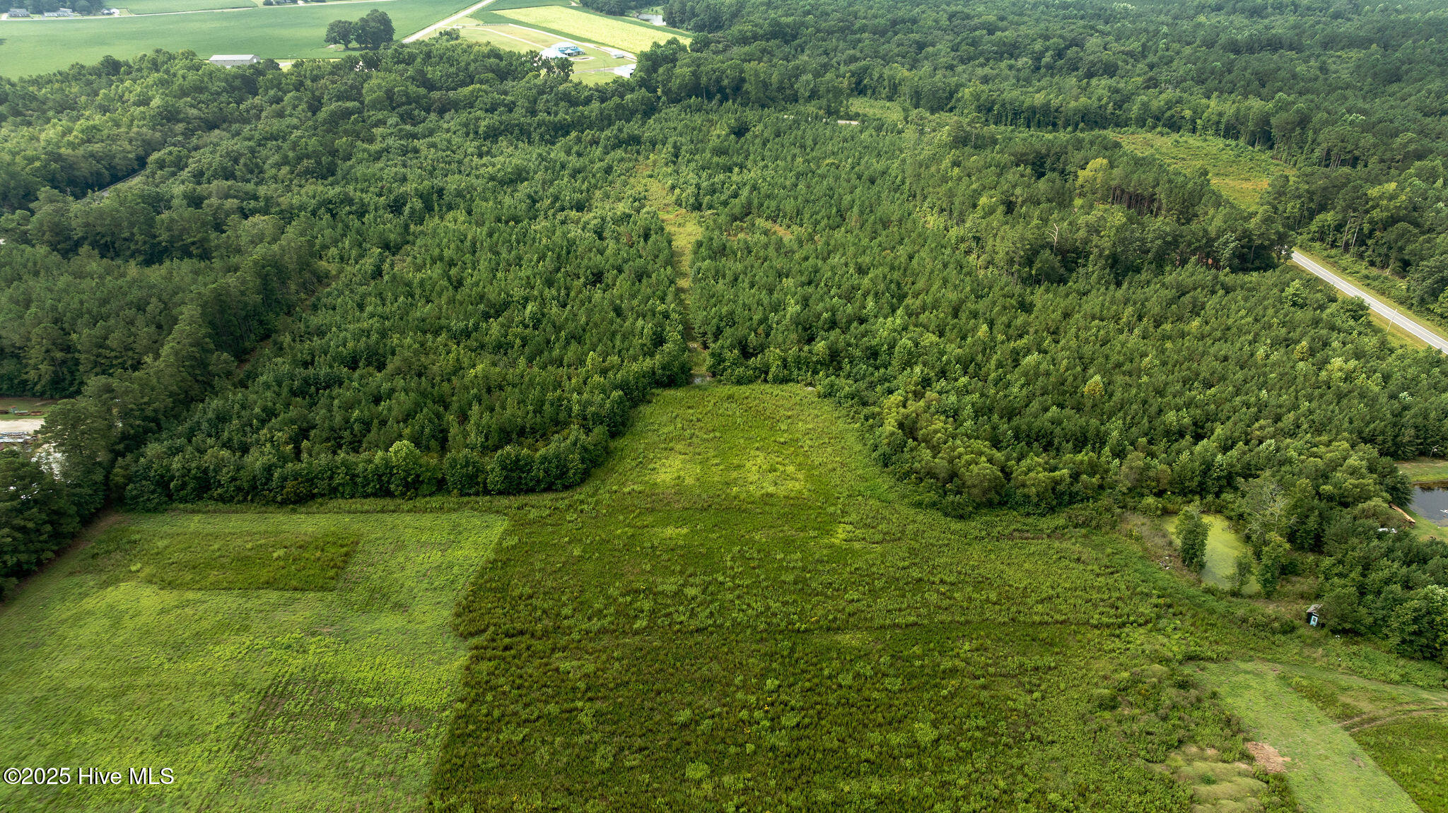 0 Great Swamp Loop Lucama, NC 27851 - Photo 12 of 15 DJI_0401