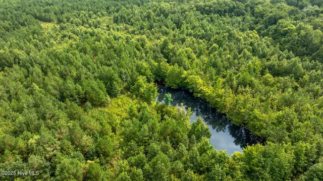 $174,900 | 0 Great Swamp Loop, Lucama, NC 27851