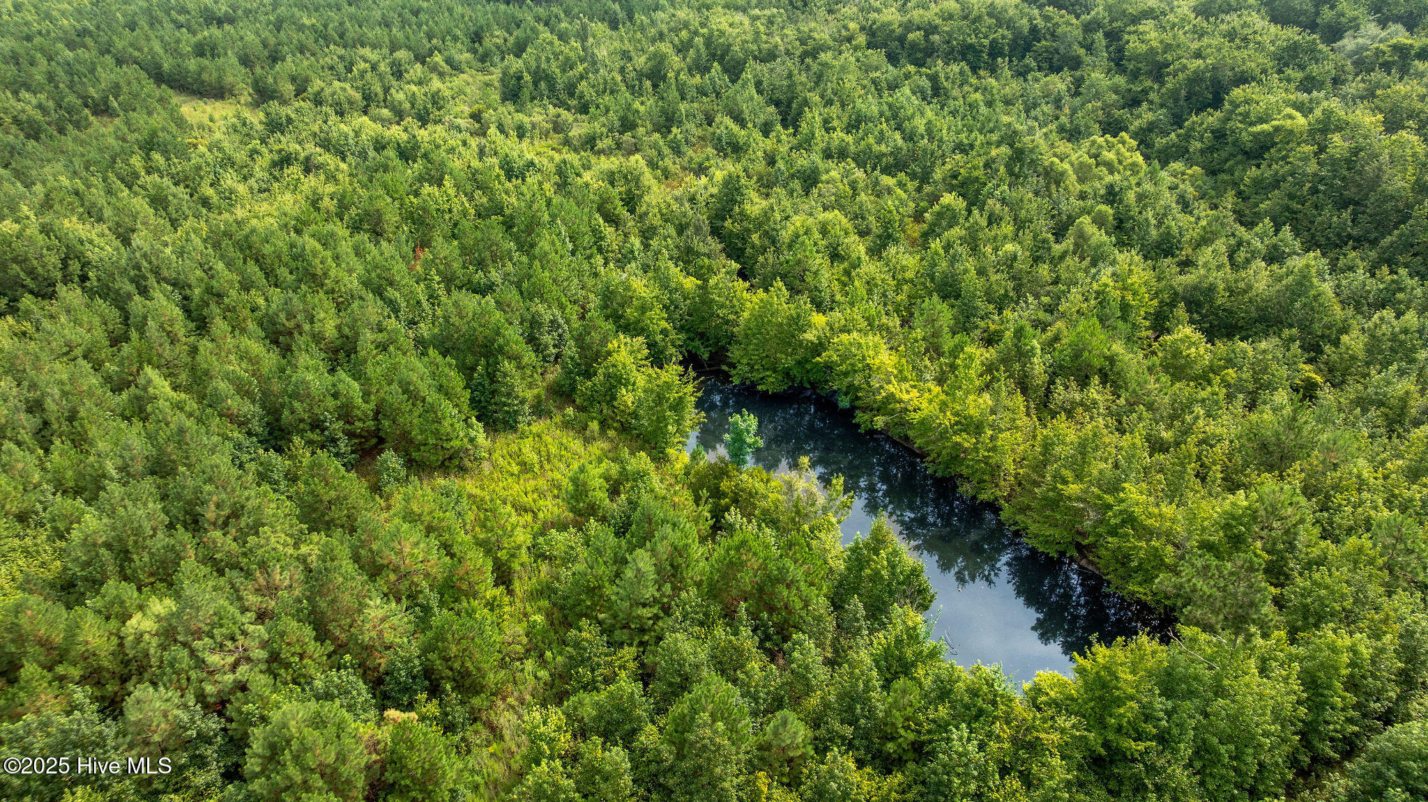 0 Great Swamp Loop Lucama, NC 27851 - Photo 13 of 15 DJI_0406