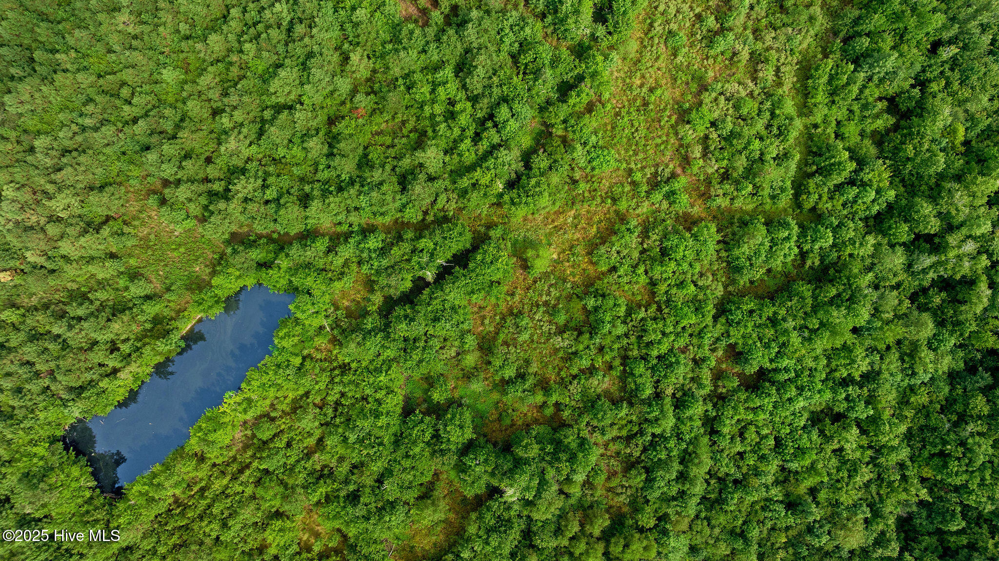 0 Great Swamp Loop Lucama, NC 27851 - Photo 14 of 15 DJI_0411