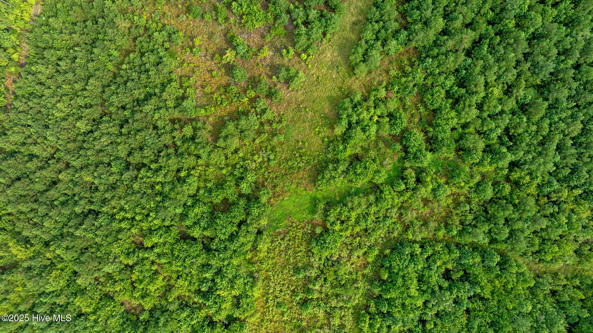 0 Great Swamp Loop Lucama, NC 27851 - Photo 15 of 15 DJI_0416