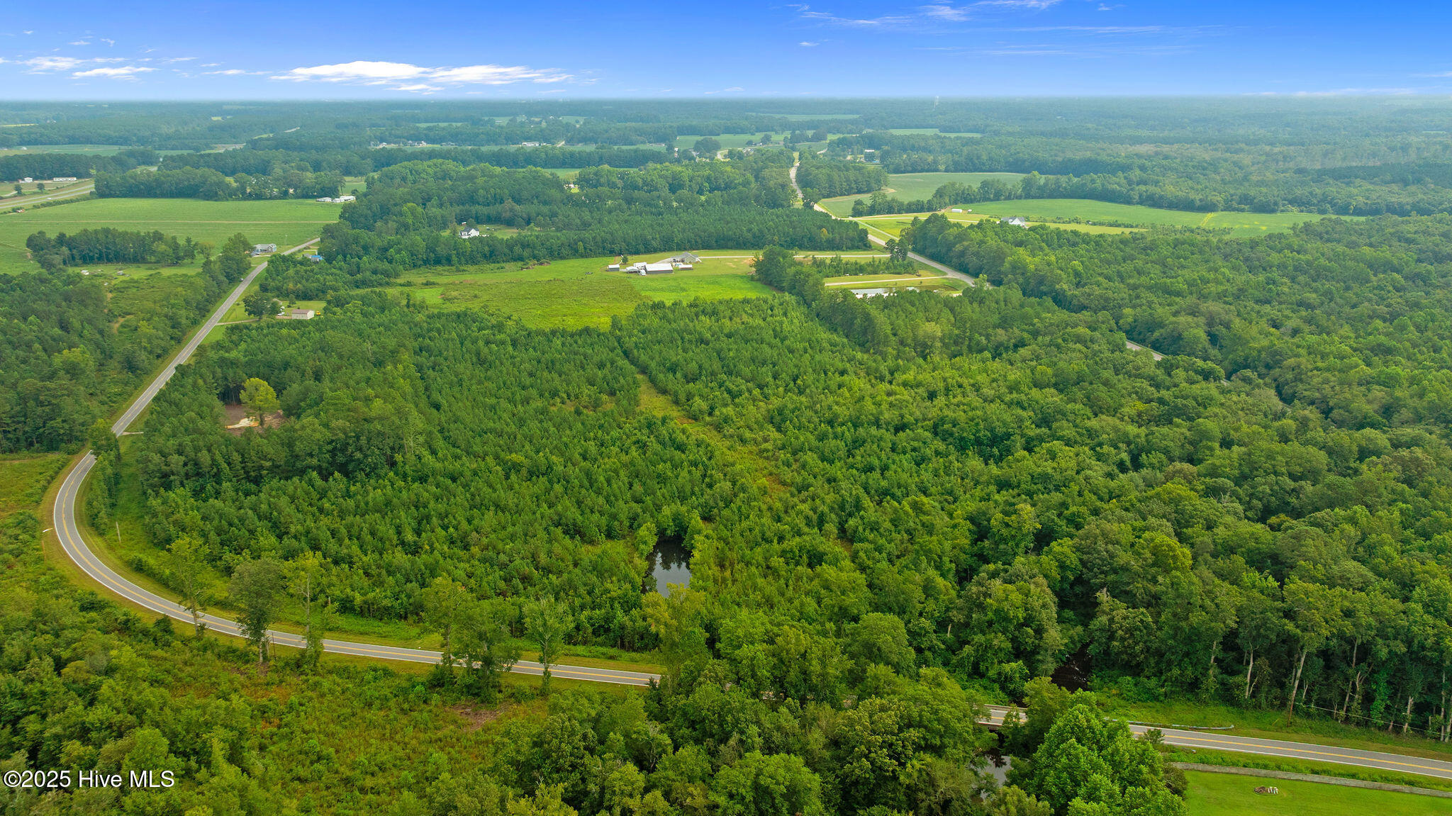 0 Great Swamp Loop Lucama, NC 27851 - Photo 6 of 15 DJI_0366